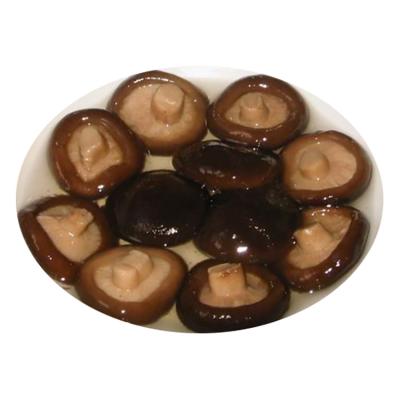 China Best Fresh Canned Mushroom Shiitake Organic Food Spreads Online Wholesale for sale