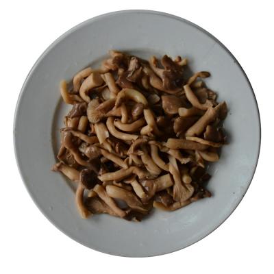 China Professional Hot Sale Low Price Fresh Boiled Canned Healthy Shiitake Mushrooms Mushrooms for sale