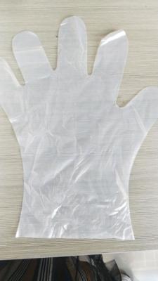 China OEM Compostable Biodegradable Guantes desechables Preparación de alimentos en venta