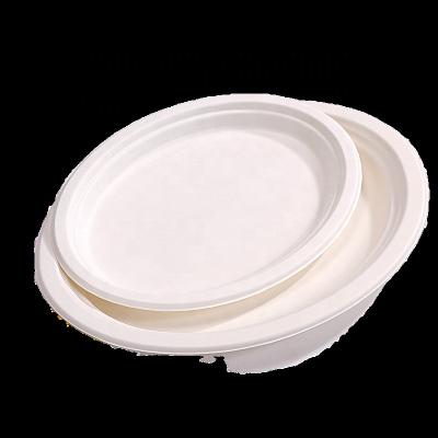 China Custom Printed Compostable Smoothie Cups Sugarcane Bagasse Plate 20 Oz for sale