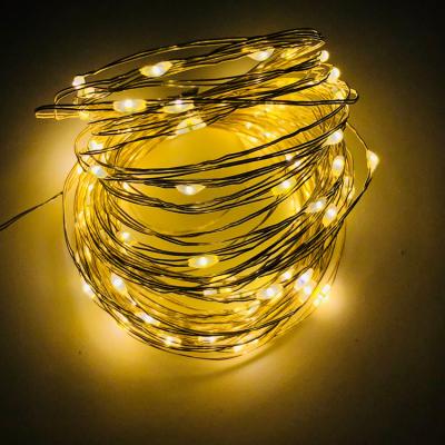 China Copper Wire String Lights 2M 20LEDs CR2032 Battery Operated Led Copper Wire String Lights for sale