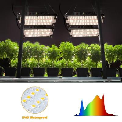 China Seed Starting 320w To Grow Light Full Spectrum Led IR UV Dimming Control Separately Grow Lights Samsung lm301h Led Grow Light For Indoor Plants for sale