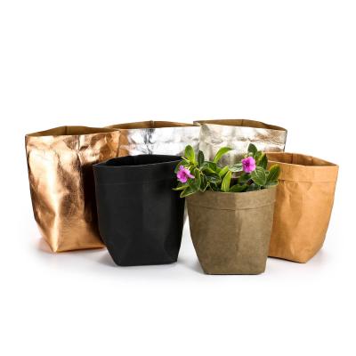 China Recycled Washable Materials Kraft Paper Storage Bag For Plant Food Logo Print Bags Eco Friendly Custom Low MOQ for sale