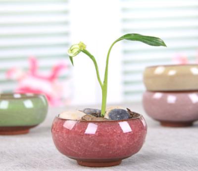 China ZYZ1 Light Creative Home Colorful Desktop Ceramic Ice Split Luster Inch Small Succulent Flower Pot for sale