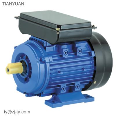 China Totally Enclosed Air Compr Piston Radial Air Motor 208-230V 1hp for sale