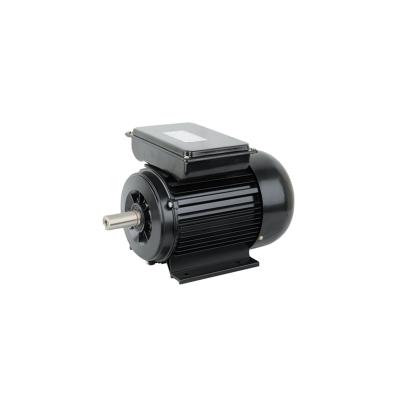 China YL8014 totally enclosed electric motor 500w 230v for sale