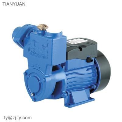 China SUCTION GB125 1/2hp water pump house for sale