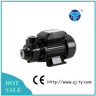 China QB60 SUCTION Hose Water Pump Craft Fountain Pump for sale