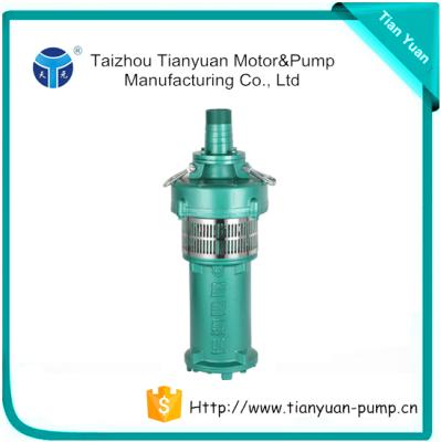 China Latest SUCTION QY Water Pump Oil Filled Electric Motor for sale