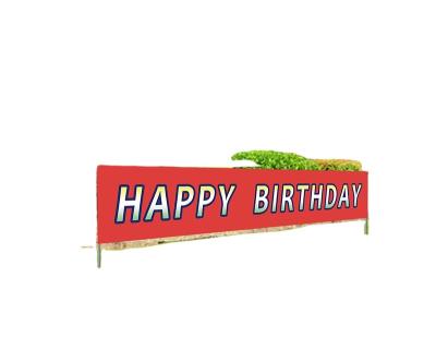 China Health Care Institute Big Happy Birthday Banner | Giant Bday Party Sign | Huge Birthday Outdoor Decoration for sale