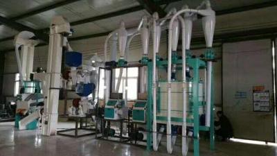 China ODM Factory China Wheat Maize Corn Flour Meal Grits Processing Milling Machine Mill zu verkaufen