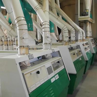 China Hot New Products China Wheat Flour Mill Plant for sale