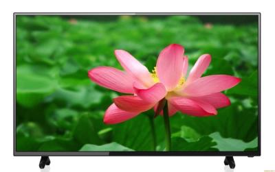 China Backlight HD DVD Player LED TV 18.5