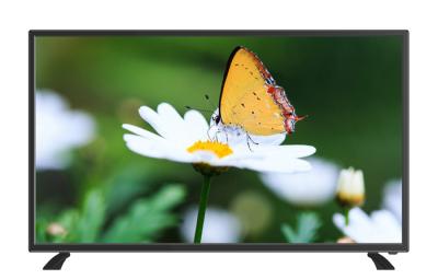 China Wall Mount High Definition DVB T LED TV DLED AC 100V - 240V ODM Service for sale