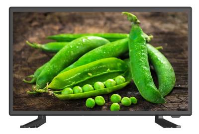 China DVB - S2 Digital LED TV Screen Aspect Ratio 16 9  HEVC / H.265 VGA Input for sale