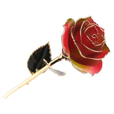 China Natural Amazon Rose Manufacture Hot Supply 24K Gold Plated Real Fresh Preserved Rose Gold Rose For Valentines Day Factory Direct Wholesale for sale