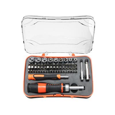 China DIY 65pcs Professional Vanadium Vanadium Hex Precision Screwdriver Multifunctional Ratchet Wrench Set Chrome for sale