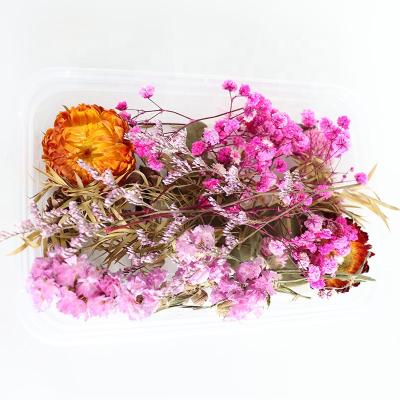 China Real Plants Natural Dried Flowers Plants Preserved Flowers Box Bulk Artificial Bouquet Wholesale For Decoration for sale