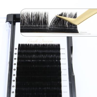 China Easy Fanning Silk Trays Mink Volume Eye Lash Fan Eyelash Extension Natural Soft Wholesale Easy Extension Eyelash Extension for sale