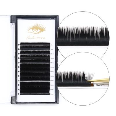 China Beautiful Lash Extension Professional Bulk Double Layer Eyelash Extensions Wholesale Supplies Silk Natural Soft Eyelashes Extension for sale