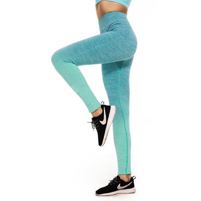 China New Breathable Upper Sports Gym High Waist Plus Size Fitness And Yoga Wear Ladies Woman Leggings for sale