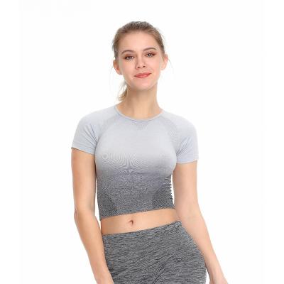 China Breathable Gradient Ladies Shape Custom Women's Workout Culture Fitness Womens Seamless Top Cropped Sleeve Yoga T-Shirt for sale