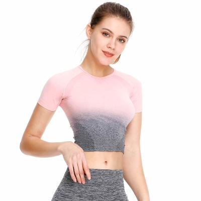 China Breathable Summer Yoga Success Gradient Color Shorts Tight Sleeve Yoga Top Sports T-shirt Gym Yoga Sport Crop Top for sale