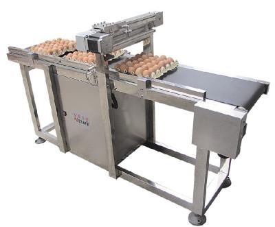 China food & Beverage Factory High Efficiency Manufacturer Supply Egg Inkjet Printers Conveyor for sale