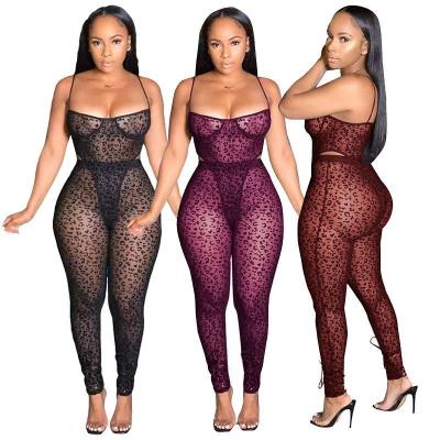 China Hot Selling Eco-Friendly Sexy Transparent Lingerie Women's Net Stockings Nightgown Girls Two-Piece Set for sale