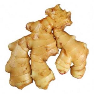 China Wholesale Fresh Ripe Delicious Chinese Dried Ginger Slice Wholesale Organic Fresh Ginger for sale