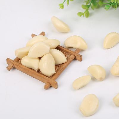 China Good Supplier Chinese Fresh Farmer Garlic 6p Fresh Dry White Garlic for sale