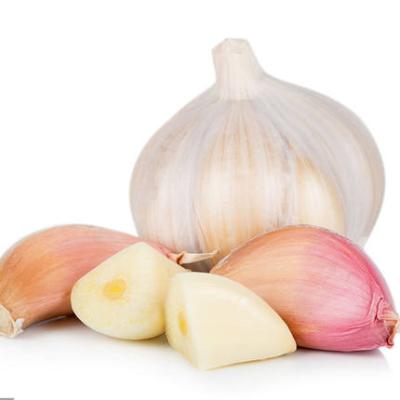 China Good Quality Fresh Garlic 5p Fresh Dry White Garlic From China Supplier for sale