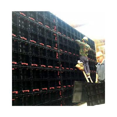 China Contemporary newly developed reusable concrete wall formwork instead of plastic panels for construction for sale