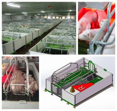 China Farms Pig Farm Equipment Farrow Crate For Pigs for sale