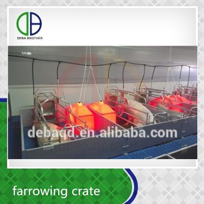 China Custom Pig Farm Quality Pig Crates Easily Collected Farrowing Equipment Manufacturer for sale