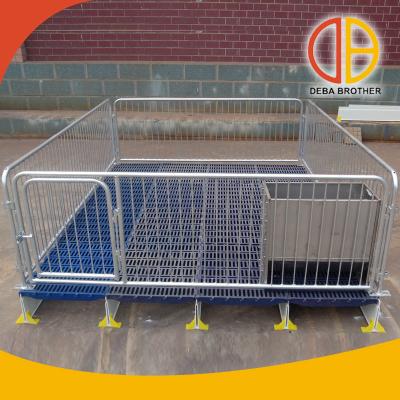 China Pig Nursery Pen Pig Breeding Equipment For Standard Easily Assembled Sale for sale