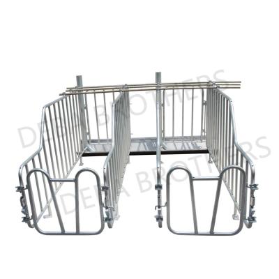 China Farms Gestation Stall or Insemination Stall Direct Selling Pig Use Pig Tools for sale