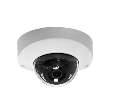 China NIGHT VISION With SD Card Slot Mini 120DB HDR/WDR IMX307 2MP Dome IP CCTV Camera, 2.8/3.6/6mm Lens Optional for sale