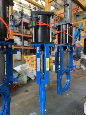 Κίνα Double Acting Slurry Gate Valve for Ductile Iron Construction προς πώληση