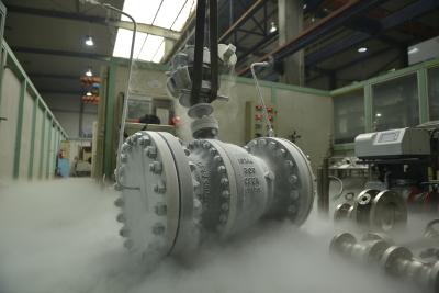 China API6D Standard Cryogenic Valve for sale