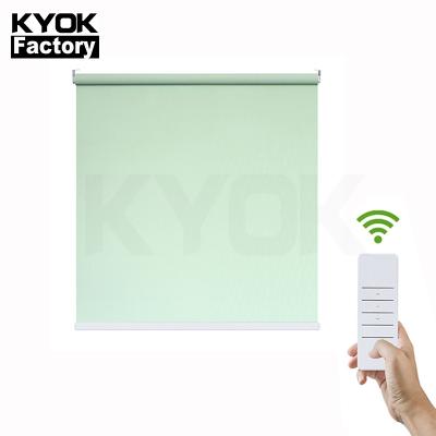 China Easy New Product Ideas KIEI2019 2019 Plug & Play Blackout Germany Zebra Roller Blinds for sale