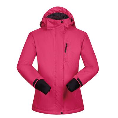 China New Outdoor Sports Women's Winter Jackets Warm Breathable Waterproof Wind Protecting Jacket Warm Breathable Ski Mountaineering Camping Hiking Piece for sale