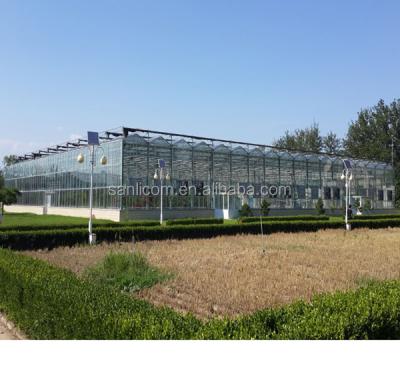 China Easily assembled greenhouse for vegetable and flowers in venlo type for sale