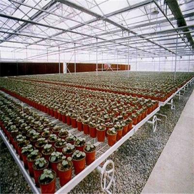 China Stable structure easily assembled agriculture planting seedbeds for sale