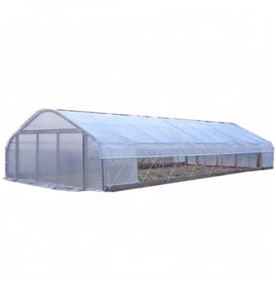 China Stable Structure Easily Assembled Single-Span Greenhouse for sale