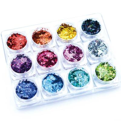 China 12 Set Plastic Bottles / Nail Art Sequin Glitter Glitter Sequin Sequins for sale