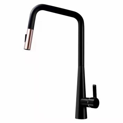 China China New Arrival 2022 Modern 1 Hole Gooseneck Pull Out Spray Kitchen Sink Faucet Mixer Tap With Swivel Spout for sale