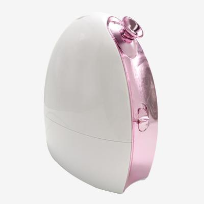 China HOME USE Ionic Portable Skin Mist Deep Cleansing Nano Facial Humidifier Deep Cleansing Nano Facial Face for sale