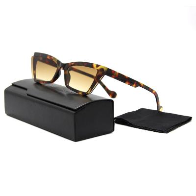 China Fashion Sunglasses Custom Hinge Small Cat Eye Women Rectangle Men Sun Glass Eyewear Sunglasses Chic Durable Glasses With Case Packing for sale