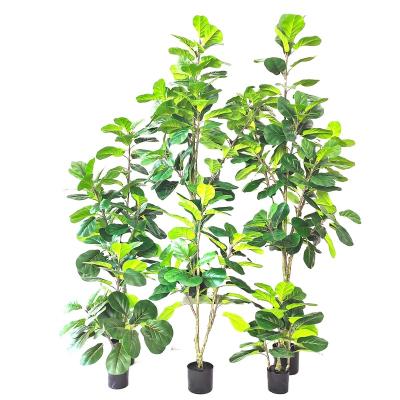 China Minimalist Artificial Ficus Lyrata Fiddle Leaf Fig Plants Artificial Ficus Lyrata for sale